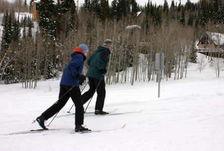 Couples cross-country skiing