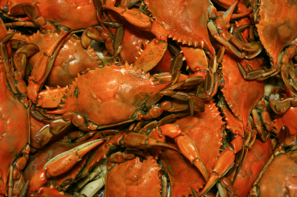 Mexican crabs